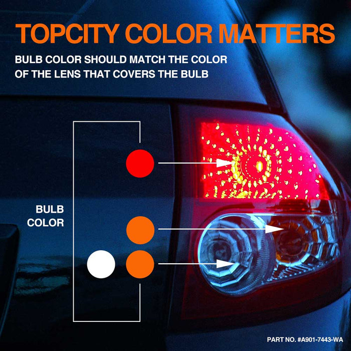 7443 switchback led 4smd 3570 bulb color guide,7444 switchback led,7444na led bulb switchback,7443 switchback,7443 led switchback bulb,t20 switchback led,7443 switchback led bulb,7443 switchback bulb,7444 switchback bulb,7444na switchback,7444na switchback led,7443 led built in resistor,7444na switchback bulb,7443 switchback with resistor,lasfit 7443 switchback,7440 led switchback,7443ck bulb,7440 switchback,a901 7443 w215w 7444 4smd 3570 switchback double led 